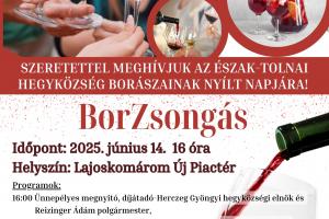 BorZsongás plakát borzsongás